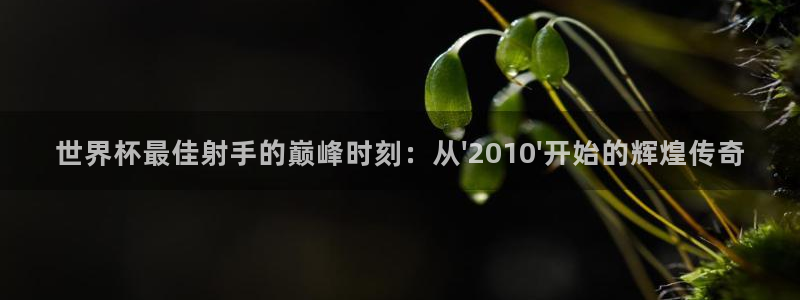 女足世界杯赛程：世界杯最佳射手的巅峰时刻：从\'2010\'开始的辉煌传奇
