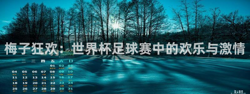 预选赛世界杯：梅子狂欢：世界杯足球赛中的欢乐与激情