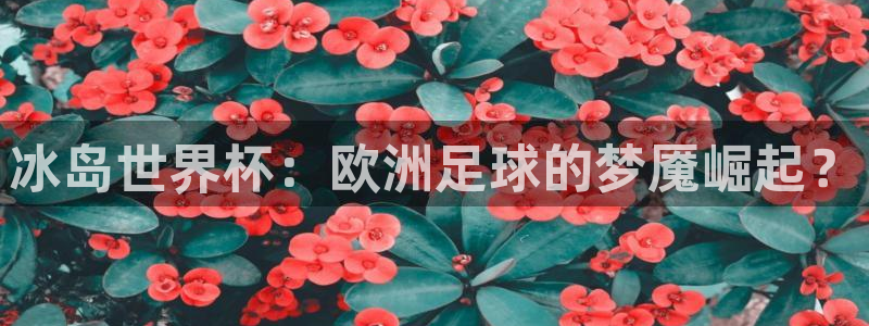 2026男足世界杯赛程：冰岛世界杯：欧洲足球的梦魇崛起？