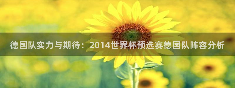 世界杯比赛赛程：德国队实力与期待：2014世界杯预选赛德国队阵容分析