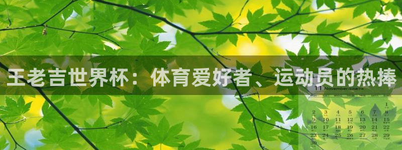 2026世界杯欧洲预选赛赛程表：王老吉世界杯：体育爱好者、运动员的热捧