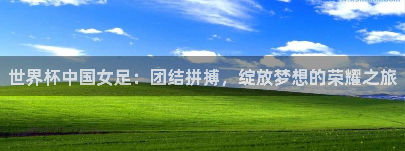 预选赛世界杯：世界杯中国女足：团结拼搏，绽放梦想的荣耀之旅