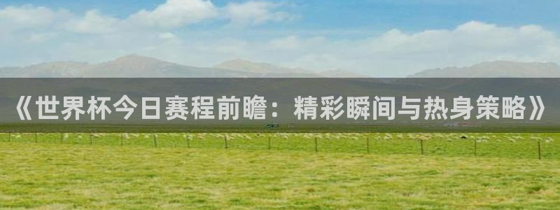 世界直播：《世界杯今日赛程前瞻：精彩瞬间与热身策略》