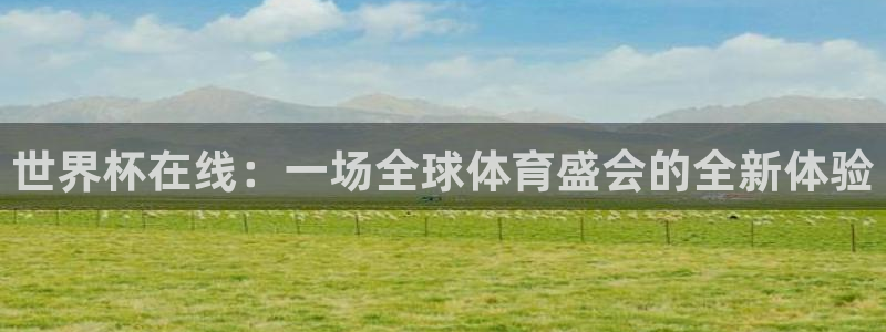 联赛杯直播：世界杯在线：一场全球体育盛会的全新体验