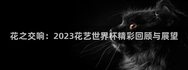 世界杯决赛直播：花之交响：2023花艺世界杯精彩回顾与展望