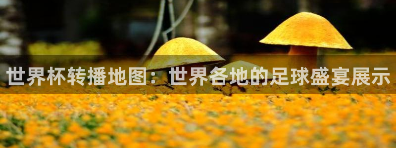 世界杯预选赛赛程时间表：世界杯转播地图：世界各地的足球盛宴展示