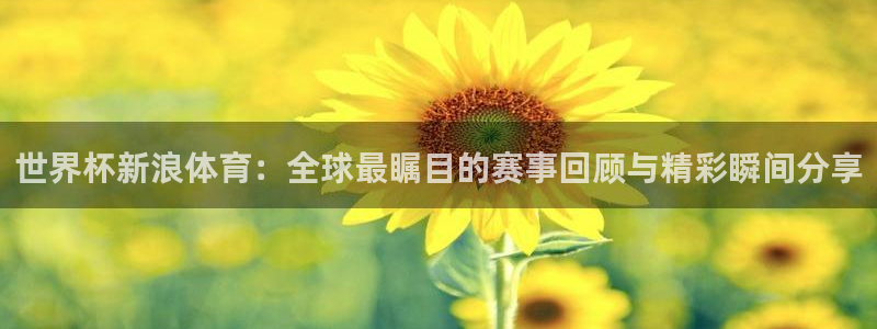 欧洲世预赛赛程表：世界杯新浪体育：全球最瞩目的赛事回顾与精彩瞬间分享