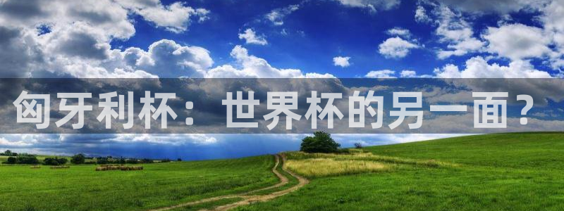 欧洲世预赛赛程表：匈牙利杯：世界杯的另一面？