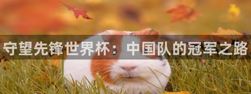 世界杯决赛圈球队：守望先锋世界杯：中国队的冠军之路