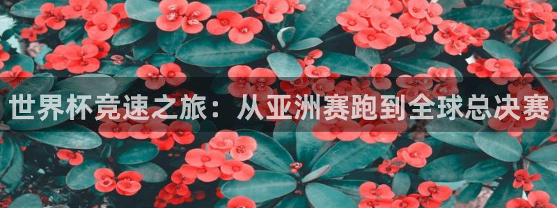 2026世界杯南美区积分榜：世界杯竞速之旅：从亚洲赛跑到全球总决赛