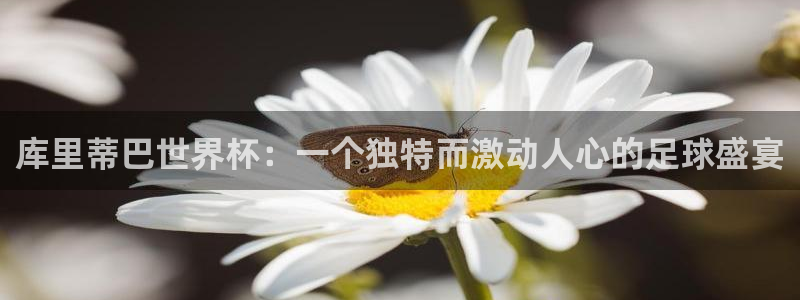 国际足联世界杯：库里蒂巴世界杯：一个独特而激动人心的足球盛宴